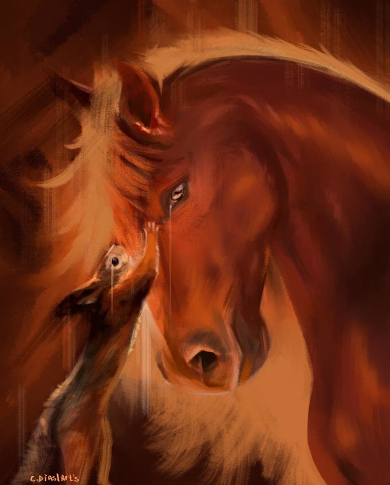 Um cavalo de perfil, a crina em contraluz